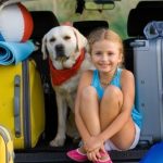 Animali in vacanza, consigli di viaggio