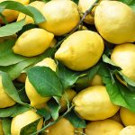 Limoncini ovvero piccoli panini al limone